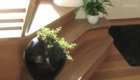 House extension Midlothian