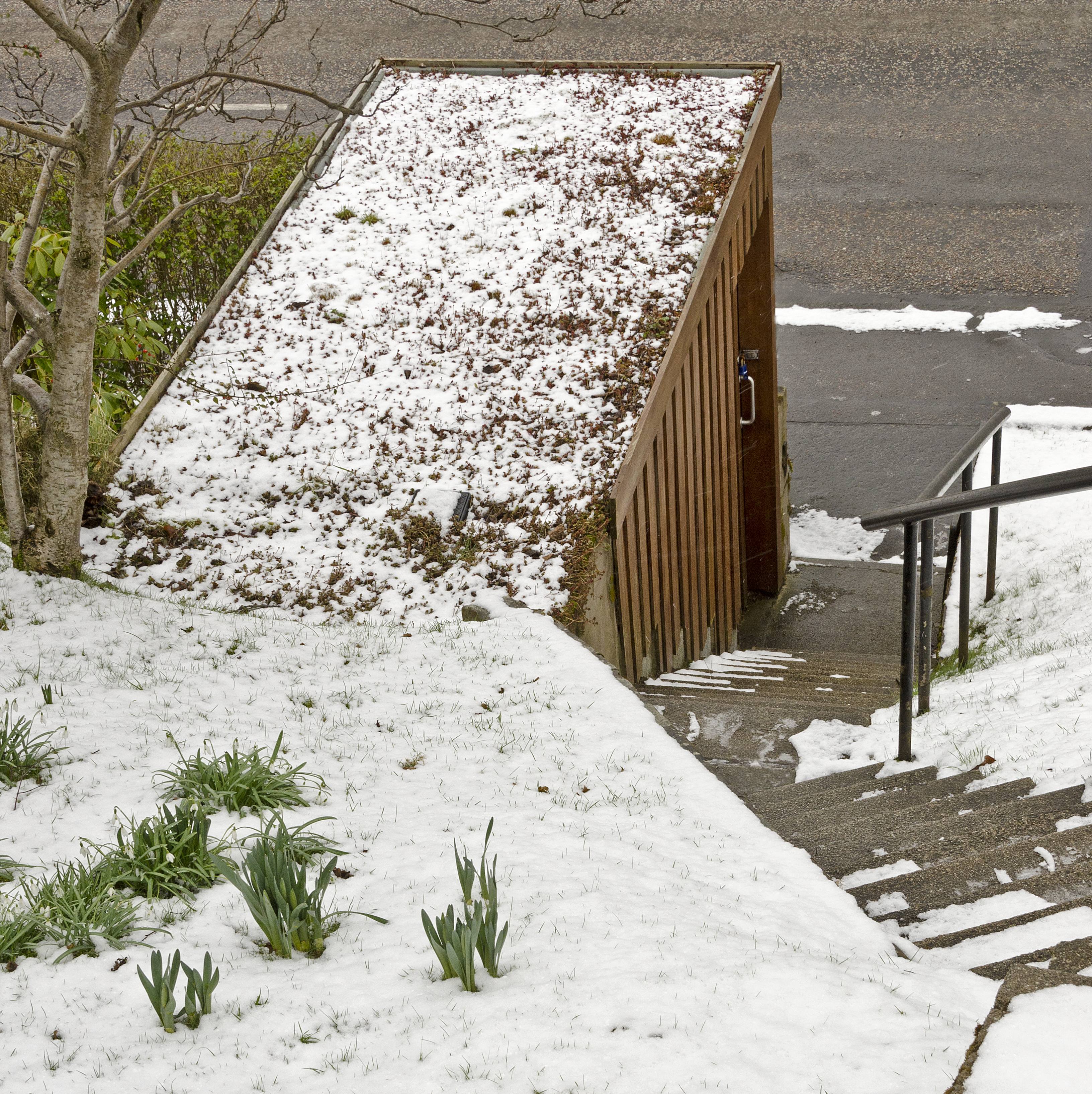 Green roof, Edinburgh